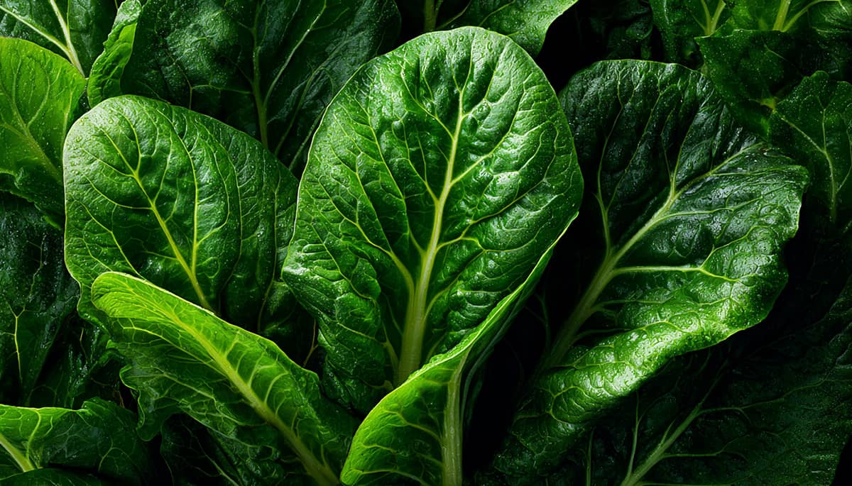Spinach