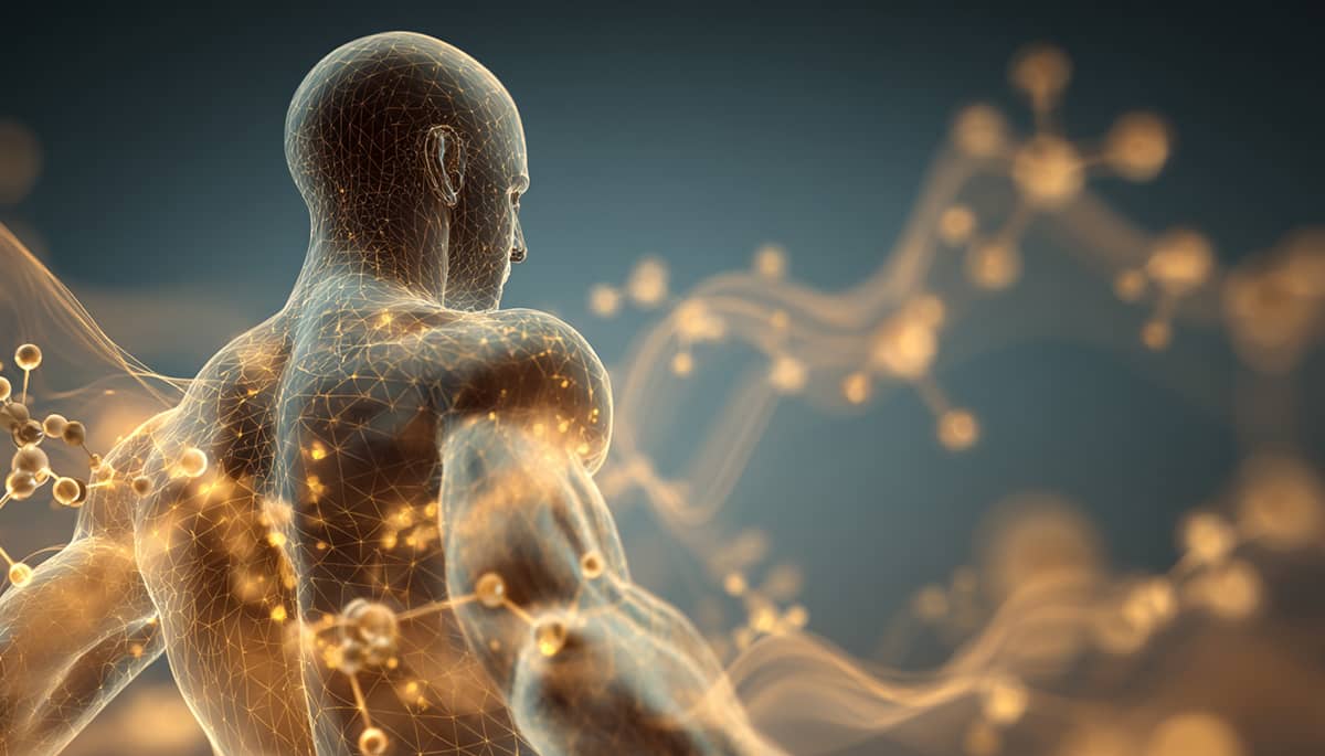 Dobowy profil kortyzolu (Biovis)