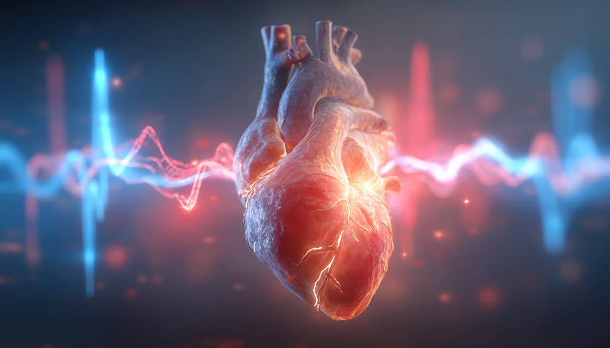 Elektrokardiogram (EKG)