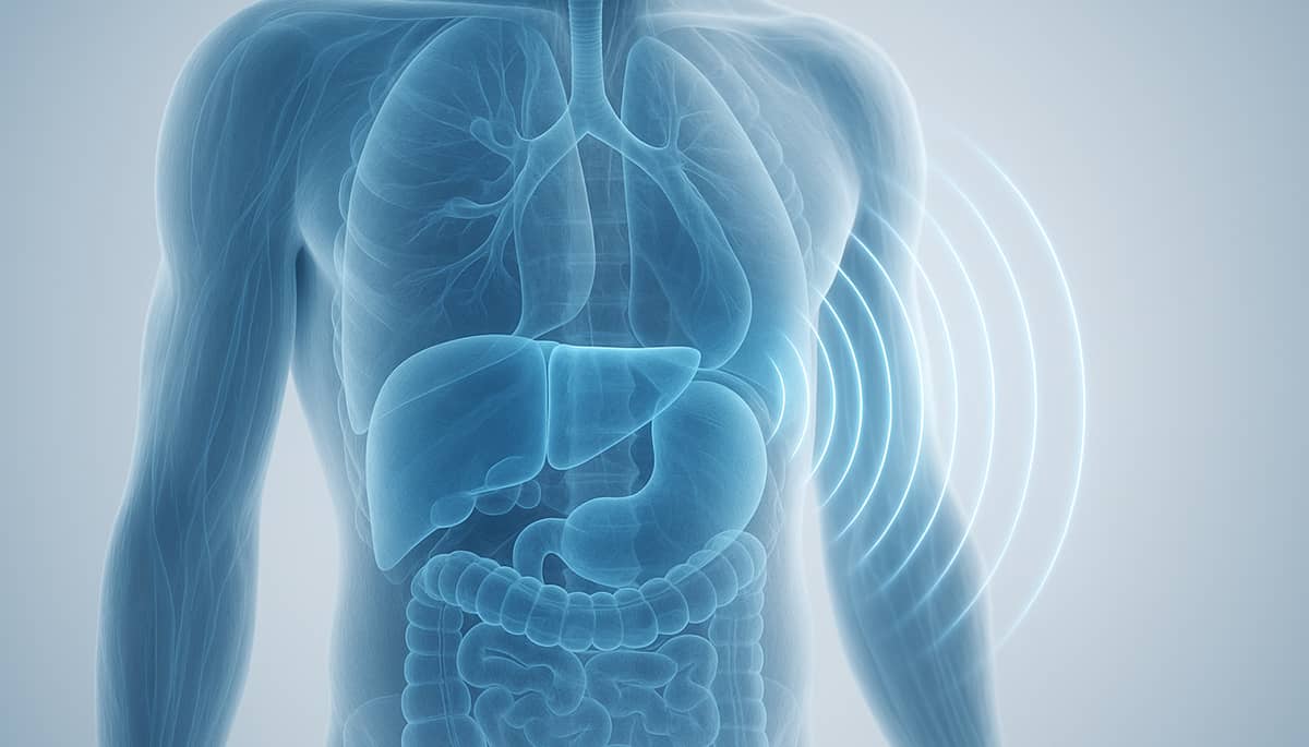 Kompleksowe badanie USG